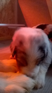 WP_20180423_001.jpg