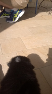 WP_20180505_001.jpg