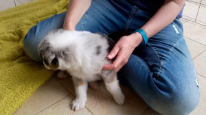 WP_20180505_008.jpg