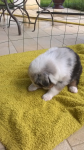 WP_20180505_015.jpg
