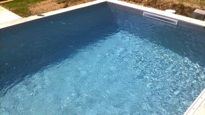 WP_20180518_004.jpg