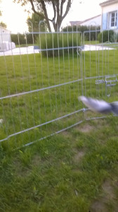 WP_20180524_002.jpg