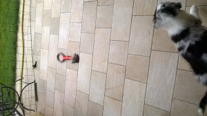 WP_20180531_002.jpg