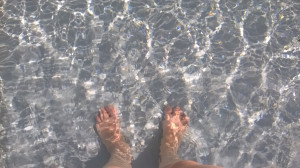 WP_20180610_003.jpg