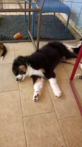 WP_20180616_008.jpg