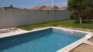 WP_20180618_004.jpg