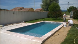 WP_20180618_007.jpg