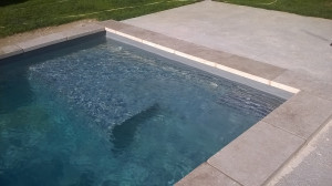 WP_20180618_009.jpg