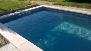 WP_20180618_010.jpg