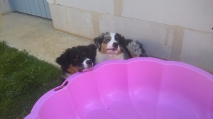 WP_20180621_002.jpg