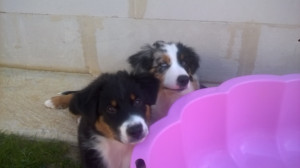 WP_20180621_004.jpg