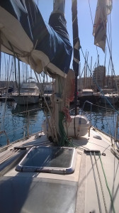 WP_20180630_002.jpg