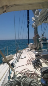 WP_20180701_001.jpg