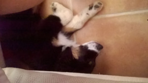 WP_20180707_001.jpg