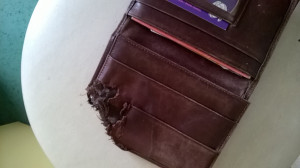 WP_20180713_001.jpg