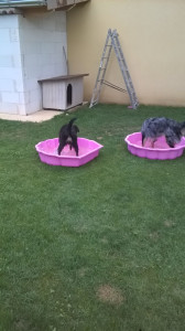 WP_20180730_002.jpg
