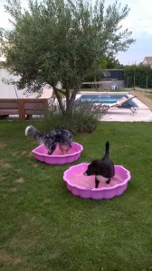 WP_20180730_003.jpg