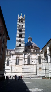 WP_20180816_007.jpg
