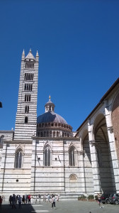 WP_20180816_008.jpg
