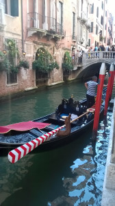 WP_20180820_007.jpg