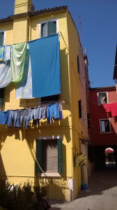 WP_20180821_005.jpg