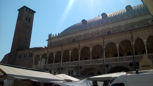 WP_20180822_003.jpg