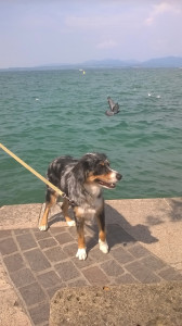 WP_20180823_001.jpg