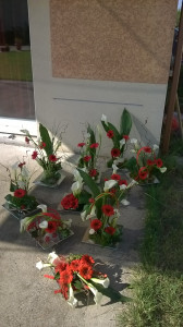 WP_20140927_006.jpg