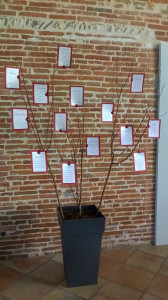 WP_20141017_006.jpg