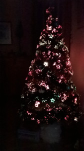 WP_20141212_002.jpg