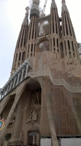 WP_20150416_003.jpg