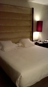 WP_20150416_019.jpg