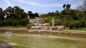 WP_20150417_008.jpg