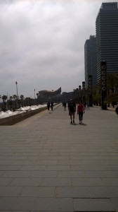 WP_20150417_010.jpg