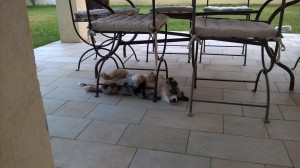 WP_20150608_001.jpg