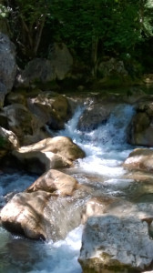 WP_20150728_006.jpg