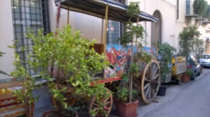 WP_20160712_035.jpg