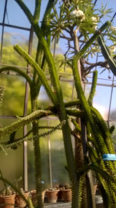 WP_20160712_044.jpg