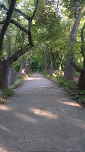 WP_20160712_046.jpg