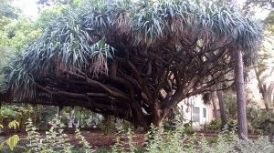 WP_20160712_047.jpg