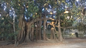 WP_20160712_048.jpg