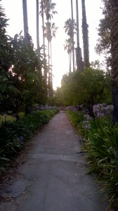 WP_20160712_053.jpg