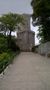 WP_20160715_004.jpg