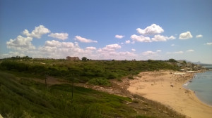 WP_20160717_013.jpg