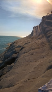 WP_20160717_023.jpg