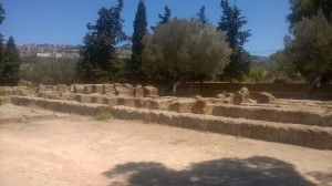 WP_20160718_007.jpg