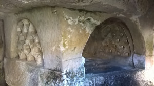 WP_20160720_003.jpg