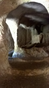 WP_20160720_005.jpg