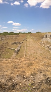 WP_20160720_009.jpg