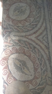 WP_20160721_002.jpg